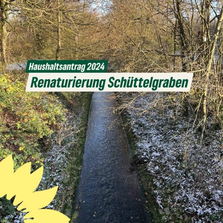 Haushaltsantrag 2024: Renaturierung Schüttelgraben