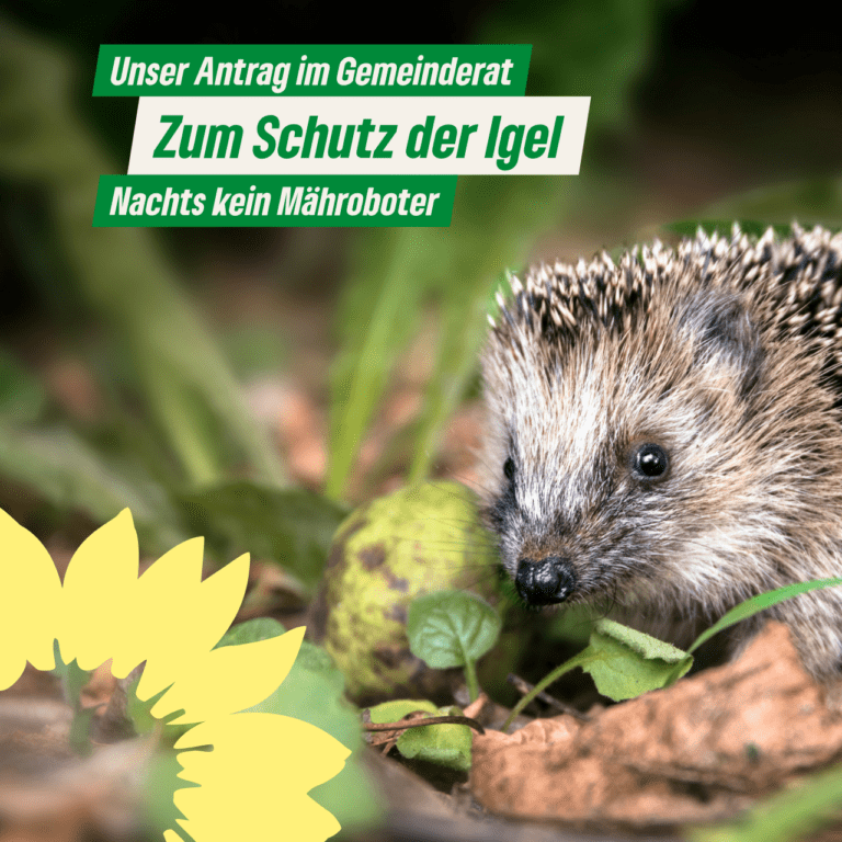 zum Schutz der Igel